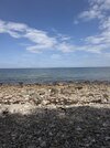 IMG_4693.jpeg IMG_4693.jpeg