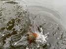 IMG_0374.jpeg