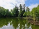 IMG_20260521_105916~3.jpg