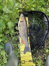 IMG_8324.jpeg IMG_8324.jpeg