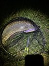 IMG_1416.jpeg