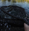 vlcsnap-2026-05-29-12h15m18s577.png