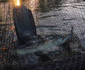 vlcsnap-2026-05-29-12h40m51s034.png