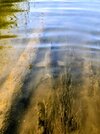 IMG_20260529_111158~3.jpg