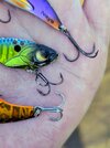 IMG_20260529_134155~2.jpg