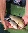 IMG_20260524_180434~3.jpg