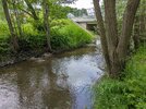 PXL_20260530_093157358.MP.jpg