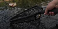 vlcsnap-2026-05-31-10h53m31s428.jpg