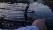 vlcsnap-2026-05-31-10h57m23s431.png