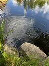IMG_3397.jpeg