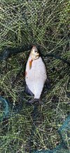 IMG_3403.jpeg