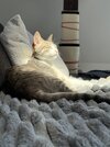 IMG_9247.jpeg