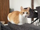 IMG_9210.jpeg
