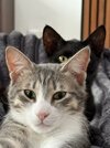 IMG_8648.jpeg