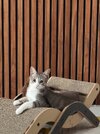 IMG_9194.jpeg