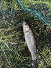 IMG_3404.jpeg