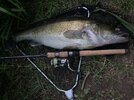 IMG_3085.jpeg