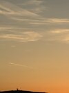 IMG_2537.jpeg