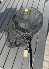 IMG_0804.jpeg