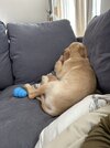 IMG_1773.jpeg