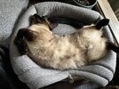 IMG_2175.jpeg