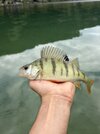 IMG_9036.jpeg
