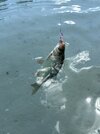 IMG_9067.jpeg