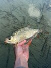 IMG_9072.jpeg