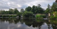 IMG_20260607_101028.jpg
