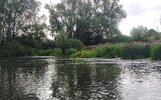 IMG_20260607_100502.jpg