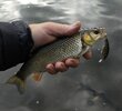 IMG_20260607_101636.jpg