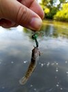 IMG20210730082334.jpg