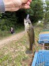 IMG_0136.jpeg
