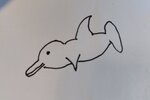 IMG-20260610-WA0003.jpg
