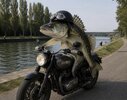 IMG_9311.jpeg