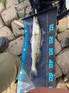 IMG-20260610-WA0010.jpg