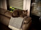 IMG_2840.jpeg