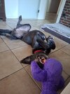 20260527_185447.jpg