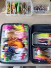 20260611_152552.jpg