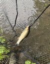 IMG_8332.jpeg