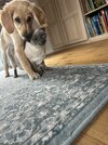 IMG_1748.jpeg