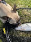 IMG_3790.jpeg