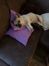 IMG_4791.jpeg