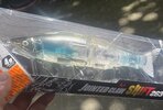 IMG_2685.jpeg