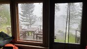 IMG_8636.jpeg IMG_8636.jpeg