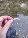 IMG_20260618_192029.jpg