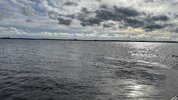 IMG_8647.jpeg IMG_8647.jpeg