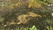 IMG_8702.jpeg