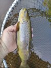 IMG_20260619_171102.jpg