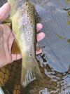 IMG_20260619_171114.jpg